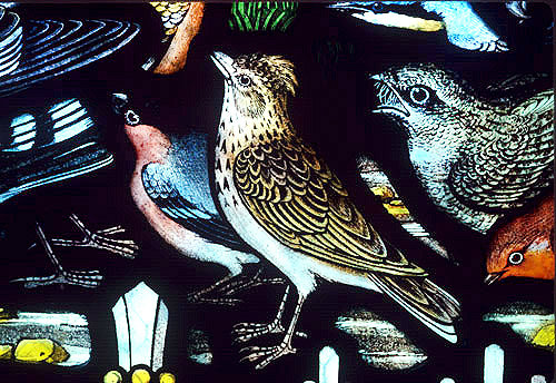 Skylark, Chaffinch and Nightjar, Gilbert White Memorial Window of St Francis and the birds Gascoyne and Hinks 1920, St Mary