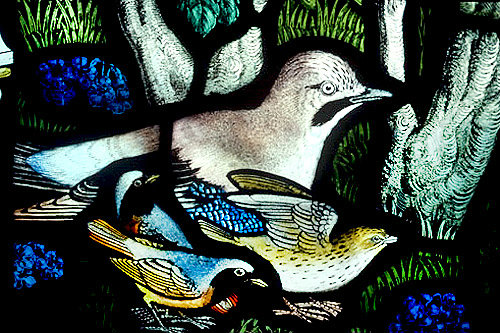 Jay, Siskin and Redstart, Gilbert White Memorial Window of St Francis and the birds, Gascoyne and Hinks 1920, St Mary