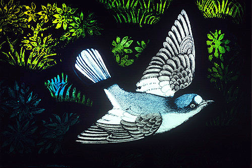Wheatear, Gilbert White Memorial Window of St Francis and the birds, Gascoyne and Hinks 1920, St Mary