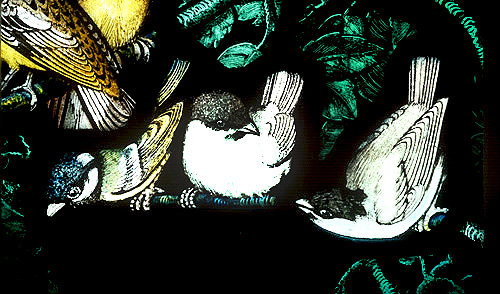 Two Marsh Tits, Gilbert White Memorial Window of St Francis and the birds, Gascoyne and Hinks 1920, St Mary