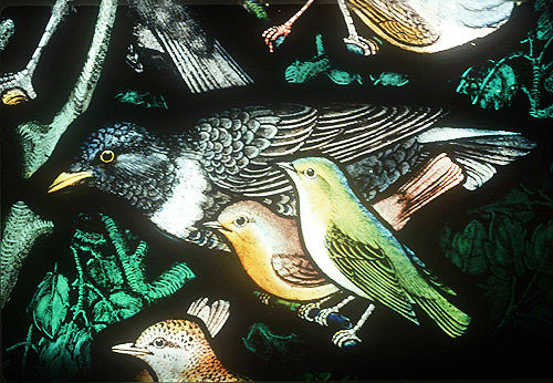 Ring ouzel, red breasted flycatcher and wood warbler, detail from the Gilbert White memorial window, St Mary