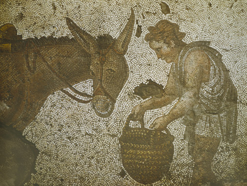 Child and a donkey, 5th century mosaic, Great Palace Mosaic Museum,  Istanbul, Turkey