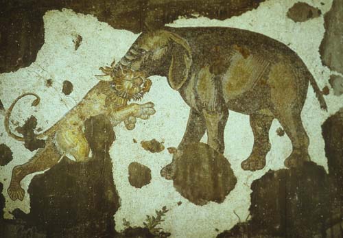 Elephant attacking a lion, 6th century mosaic, Great Palace Mosaic Museum, Istanbul, Turkey