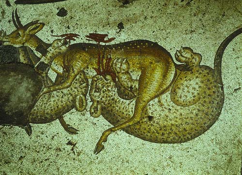 Two panthers devouring a doe, 6th century mosaic, Great Palace Mosaic Museum, Istanbul, Turkey