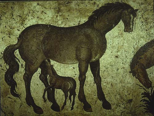 Mare feeding her foal, 6th century mosaic, Great Palace Mosaic Museum, Istanbul, Turkey