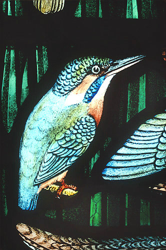 Kingfisher, Gilbert White Memorial Window of St Francis and the birds, Gascoyne ad Hinks 1920, St Mary
