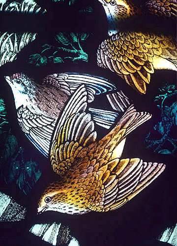 Wryneck and Woodlark, Gilbert White Memorial Window of St Francis and the birds, Gascoyne and Hinks 1920, St Mary