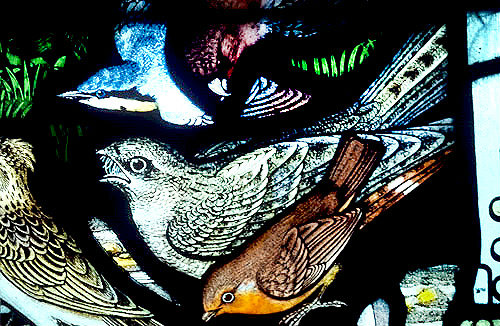 Robin, Nightjar and Nuthatch, Gilbert White Memorial Window of St Francis and the birds, Gascoyne and Hinks 1920, St Mary