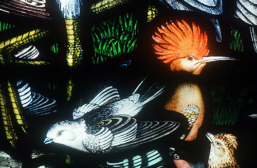 Snow bunting and hoopoe, detail from the Gilbert White memorial window, St Mary
