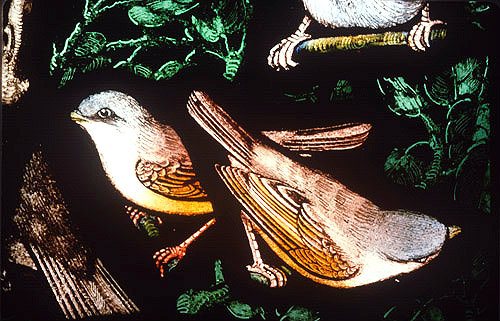 Whitethroats, Gilbert White Memorial Window of St Francis and the birds,Gascoyne and Hinks 1920, St Mary