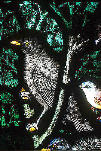 Blackbird and Whitethroat, Gilbert White Memorial Window of St Francis and the birds, Gascoyne and Hinks, 1920, St Mary