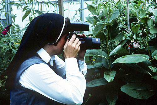 Sister Daniel photographing a butterfly, Dorset, England