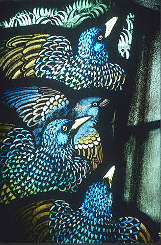 Starlings, Gilbert White Memorial Window of St Francis and the birds, Gascoyne and Hinks 1920, St Mary