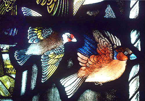 Goldfinch and Hawfinch, Gilbert White Memorial Window of St Francis and the birds, Gascoyne and Hinks 1920, St Mary