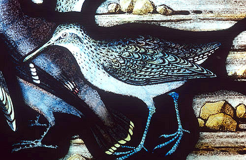 Common Sandpiper, Gilbert White Memorial Window of St Francis and the birds, Gascoyne and Hinks 1920, St Mary