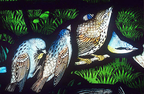 Hedge Sparrows, Redstart and Nuthatch, Gilbert White Memorial Window of St Francis and the birds, Gascoyne and Hinks 1920, St Mary