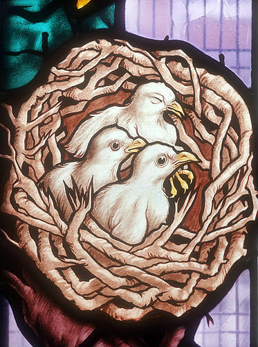 Pair of doves from window in the Central Synagogue, Great Portland Street, London, England