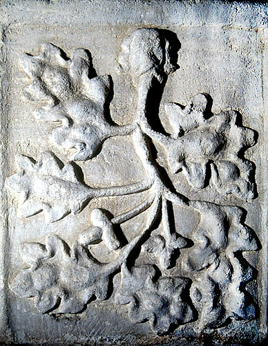 Green Man carved on stone font, Church of the Assumption, Leckhampstead, Buckinghamshire, England