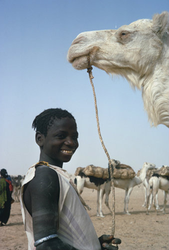 Boy with salt caravan at Bilma, Niger, Africa