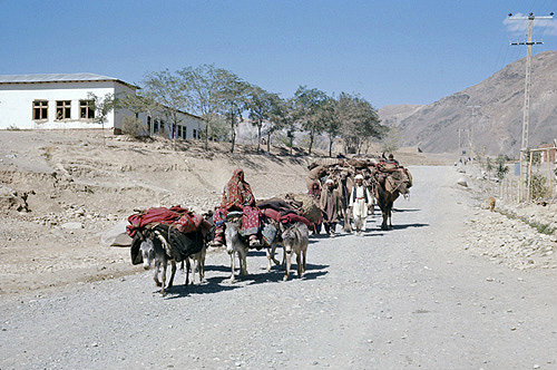 Afghanistan, Hindu Kush road to Bamiyan, the autumn migration of the nomadic Kuchi tribespeople