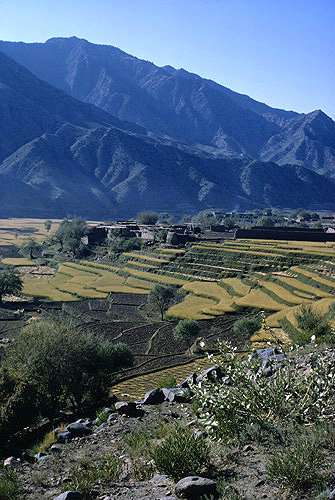 Afghanistan, rice terraces in the Kunar Valley, the  Kunar River runs nearby