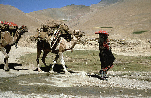 Afghanistan, camel and woman near the Hajigak Pass