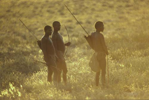 Bushmen hunters at sunset, Kalahari, South Africa