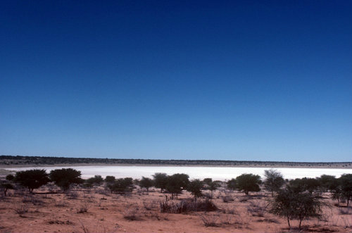 Kalahari a salt pan