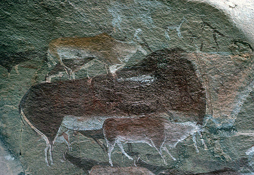 Eland cave paintings Natal, South Africa