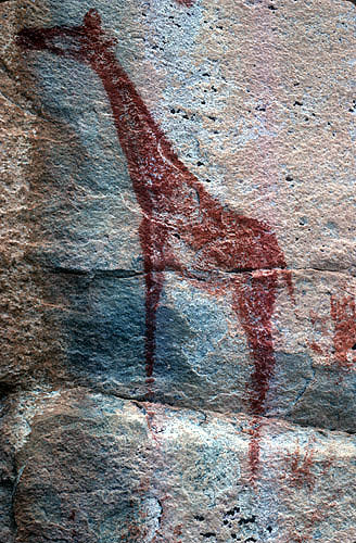 Tsodilo Hills rock painting of a giraffe, Botswana