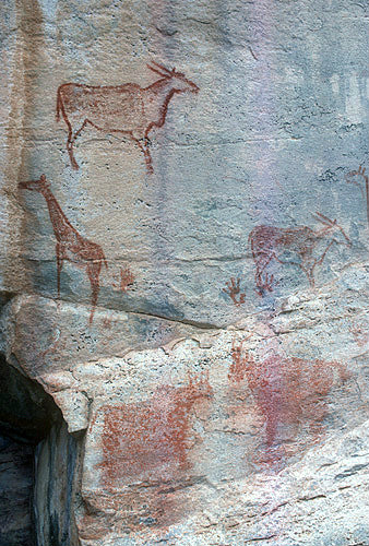 Tsodilo Hills rock painting of a giraffe Bushmen paintings