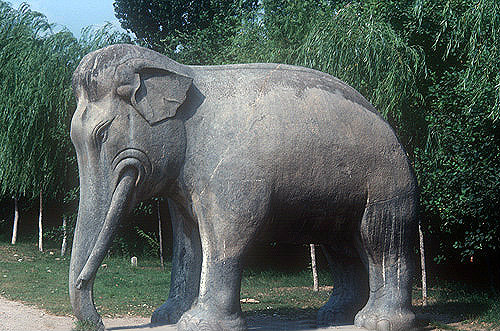 Standing elephant, fifteenth century, on Sacred Way leading to Ming Tombs, China