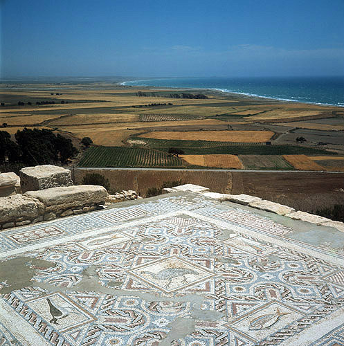 Mosaic floor of fifth century Roman baths, Curium, Cyprus