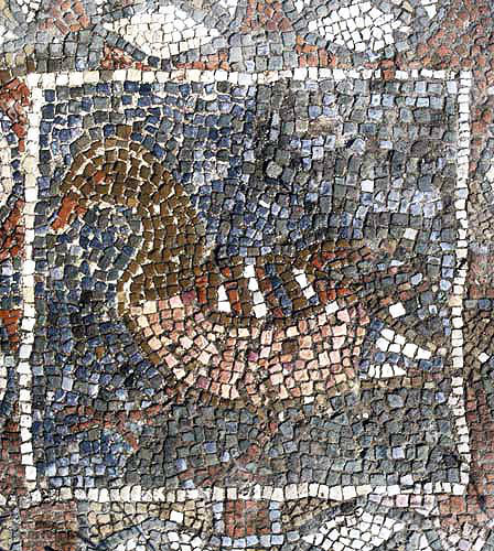 Mosaic of a duck, fourth century, on the floor of an early Christian church, Soli, Northern Cyprus