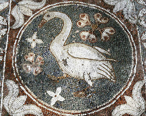 Mosaic of a swan, fourth century, on the floor of an early Christian church, Soli, Northern Cyprus