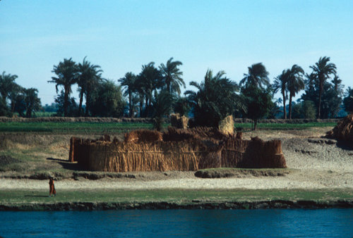 Egypt the Nile riverbank