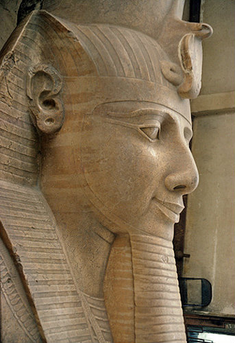 Egypt, Memphis, head of colossal statue of Ramesses II