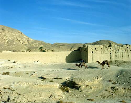 Egypt, Eastern Desert, the Coptic orthodox monastery of St Paul the Anchorite and two camels