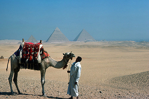 Egypt, Giza, the Pyramids from the South East, with an arab and camel in the foreground
