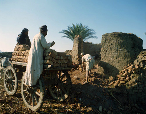 Egypt loading mud bricks onto cart out of kiln