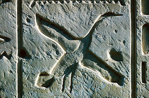 Goose, sunk relief in limestone on north west exterior wall of temple of Seth, Abydos, Egypt