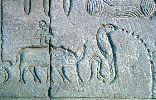 Cobra and elephant, sunk relief on west exterior wall of temple, Dandara, Egypt
