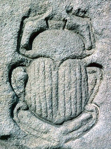 Scarab the sacred beetle, sunk relief on temple wall, Dandara, Egypt