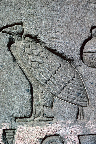 Egypt Dendera relief of a Vulture east wall