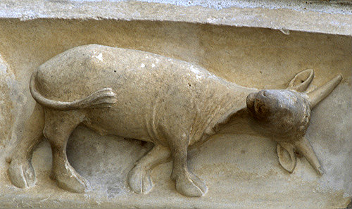 Chartres Cathedral, north porch, right bay, outer archivolt, Zodiac sign, Taurus, 13th century