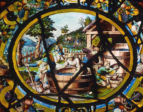 September, grape harvest, sixteenth century, one of the Labours of the Month, vitraux de Montigny, Rouen Museum, France