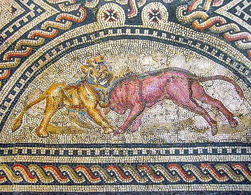 Lion and bull fighting, third century Roman mosaic, Cologne, Germany