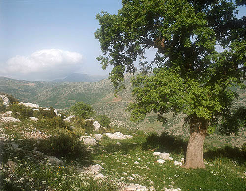 Greece, Arcadia, mountain scenery near Bassae
