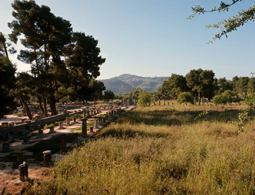 Olympia Greece  general view south across Gymnasium to the Palaestra