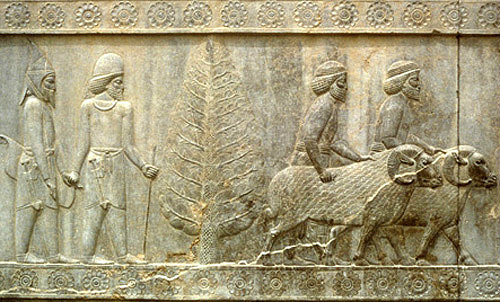 Iran, formerly Persia, Persepolis, capital of the Achaemenid Empire, bas-relief of men leading rams, audience hall (Apadana) of the palace of Darius I, begun 515 BC